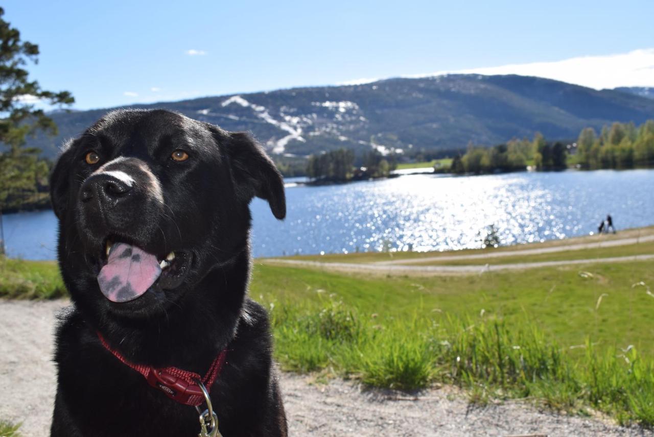 Ferienhaus Fjellblikken Villa Sinnes Luaran gambar